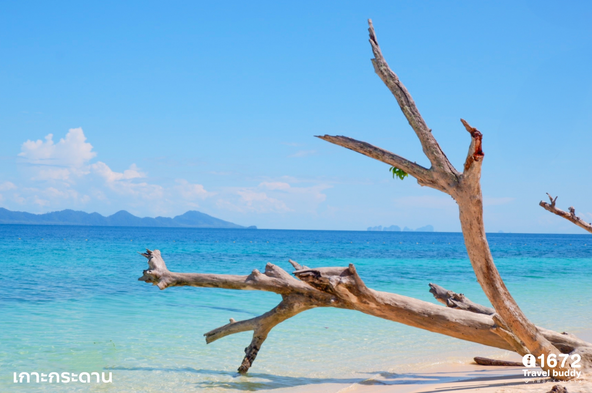 "3 Islands of Trang Sea: A Paradise for Sea Lovers"