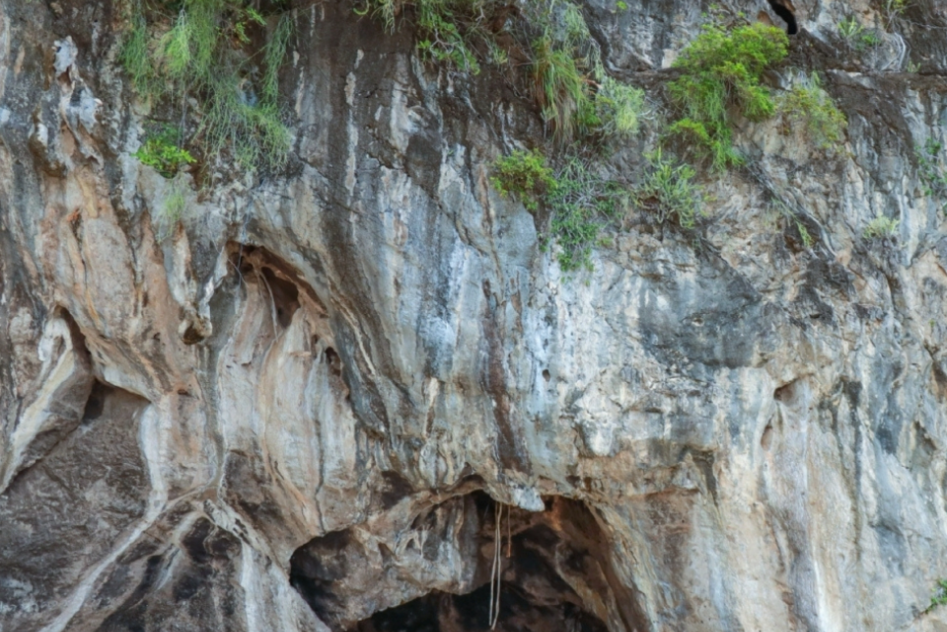 "3 Islands of Trang Sea: A Paradise for Sea Lovers"